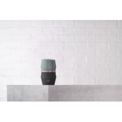 Sutton W10 Exklusiver...