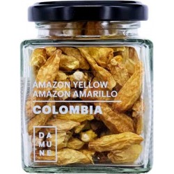 Chile Amazon Amarillo...
