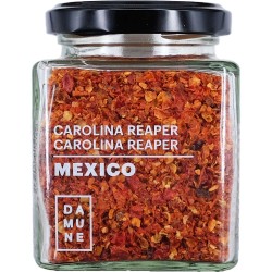 Chile Carolina Reaper...