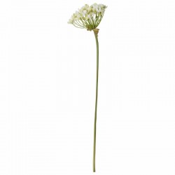 FLORA SCHMUCKLILIE 47 CM.