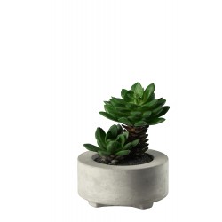 Dekopflanze aus Kunststoff...