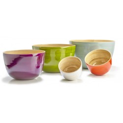 Bambus Schüssel 22x14